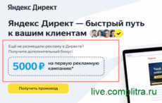 директ яндекса и пр директ яндекса и пр
